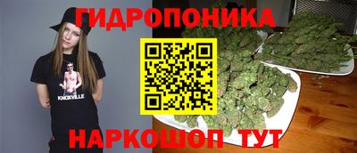 jwh Камышлов
